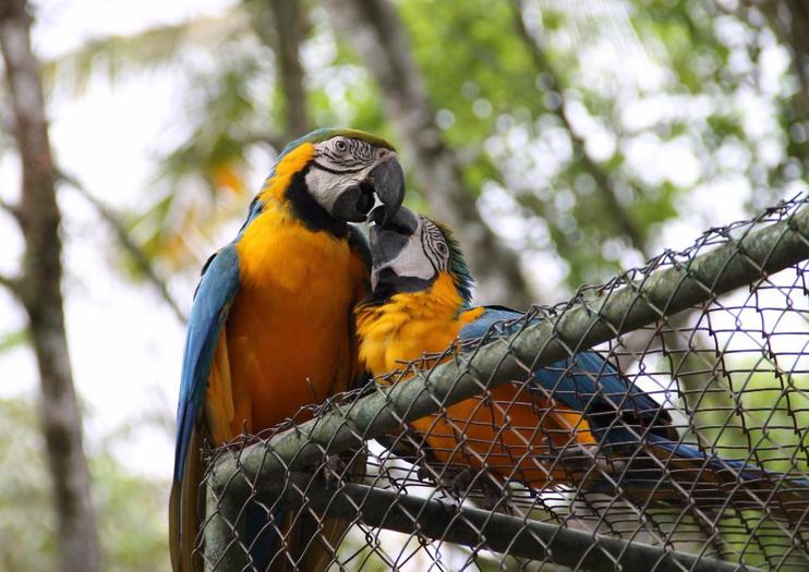 Brusque Zoo Botanical Park (Parque Zoobotanico de Brusque)